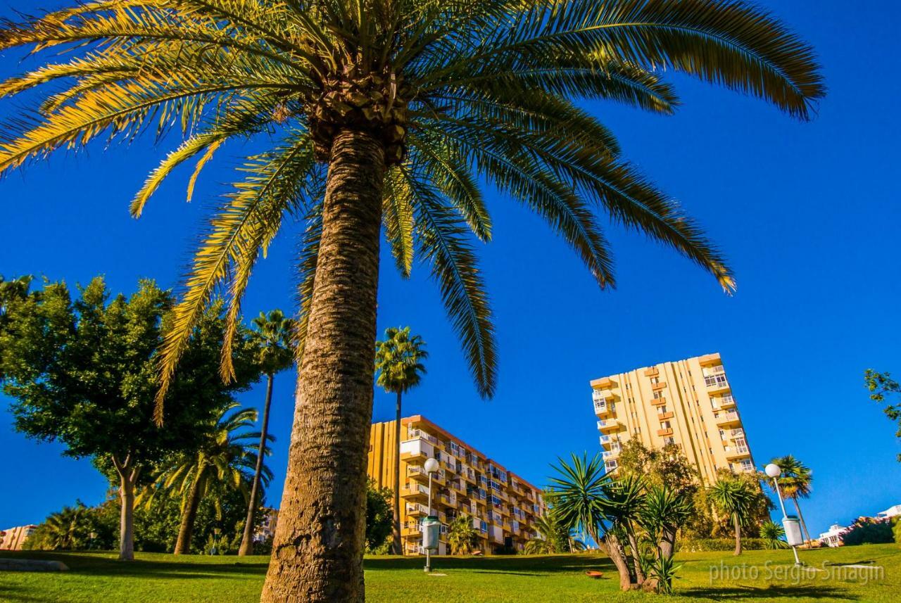 בנאלמדנה 532 Minerva Apartamentos- Vistas Al Mar Y A La Piscina - Excelente Ubicacion מראה חיצוני תמונה